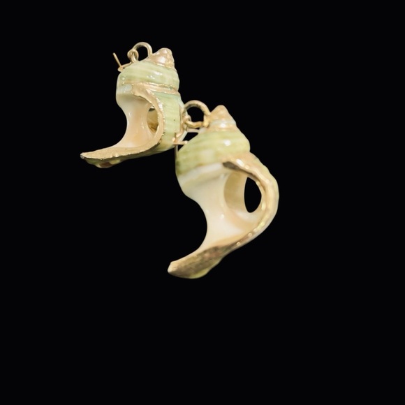 EXTRAORDINARY ~ HANDMADE ~ EXOSKELETON SHELL & GOLD TRIMMED ~ EARRINGS ~ 1" - Picture 10 of 11